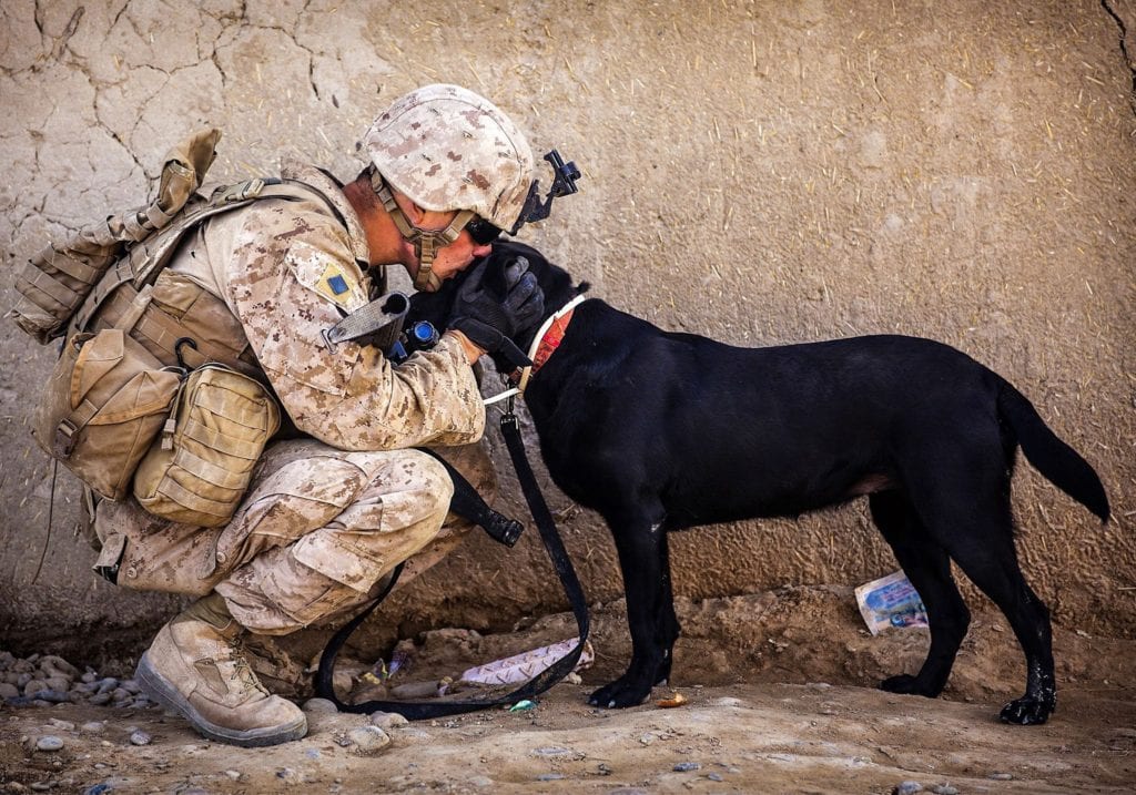 Soldier Kissing His Dog