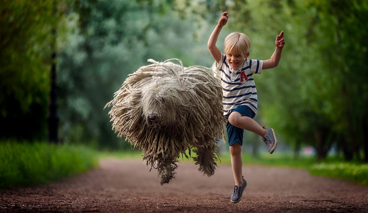 Child Jumping with a Dog