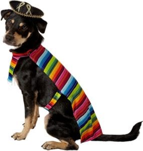 serape-dog-costume
