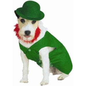 full-on-leprechaun-costume-dog