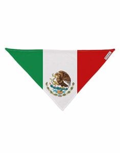 mexican-flag-dog-bandana