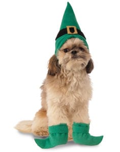 green-booties-dog