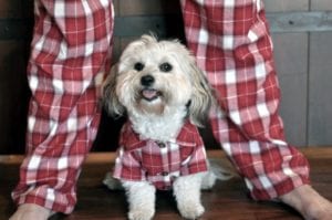 matching-dog-pajamas
