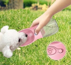portable-pet-water-bottle