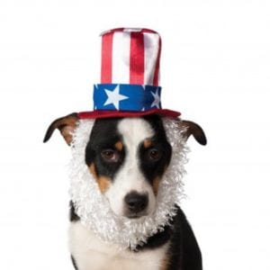 Uncle Sam Hat and Beard Dog Costume