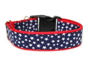 4th-of-july-dog-collar