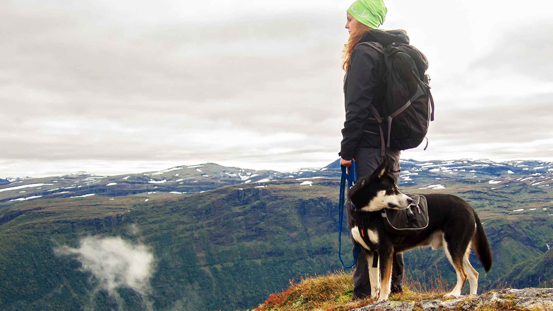 dog-owner-on-mountain